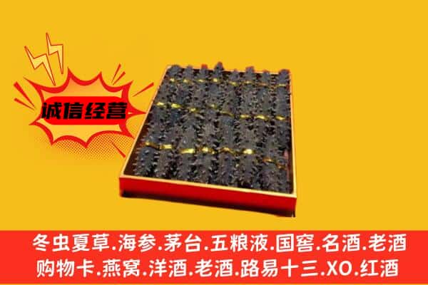 沾化区回收海参